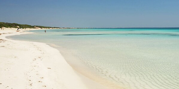 Beach nearby - SUNSET BAY HOUSE (Marina San Gregorio)