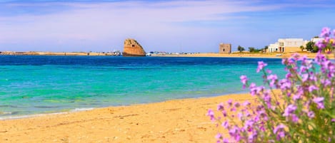 Una spiaggia nelle vicinanze