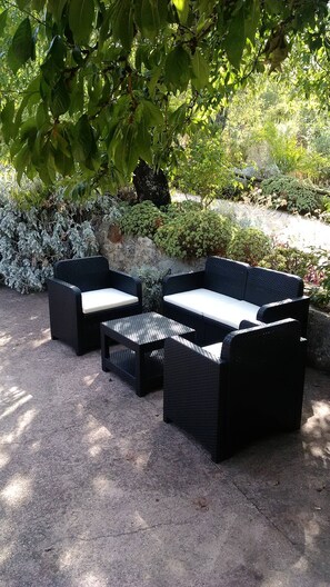 テラス / パティオ