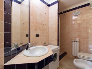 Shower, hair dryer