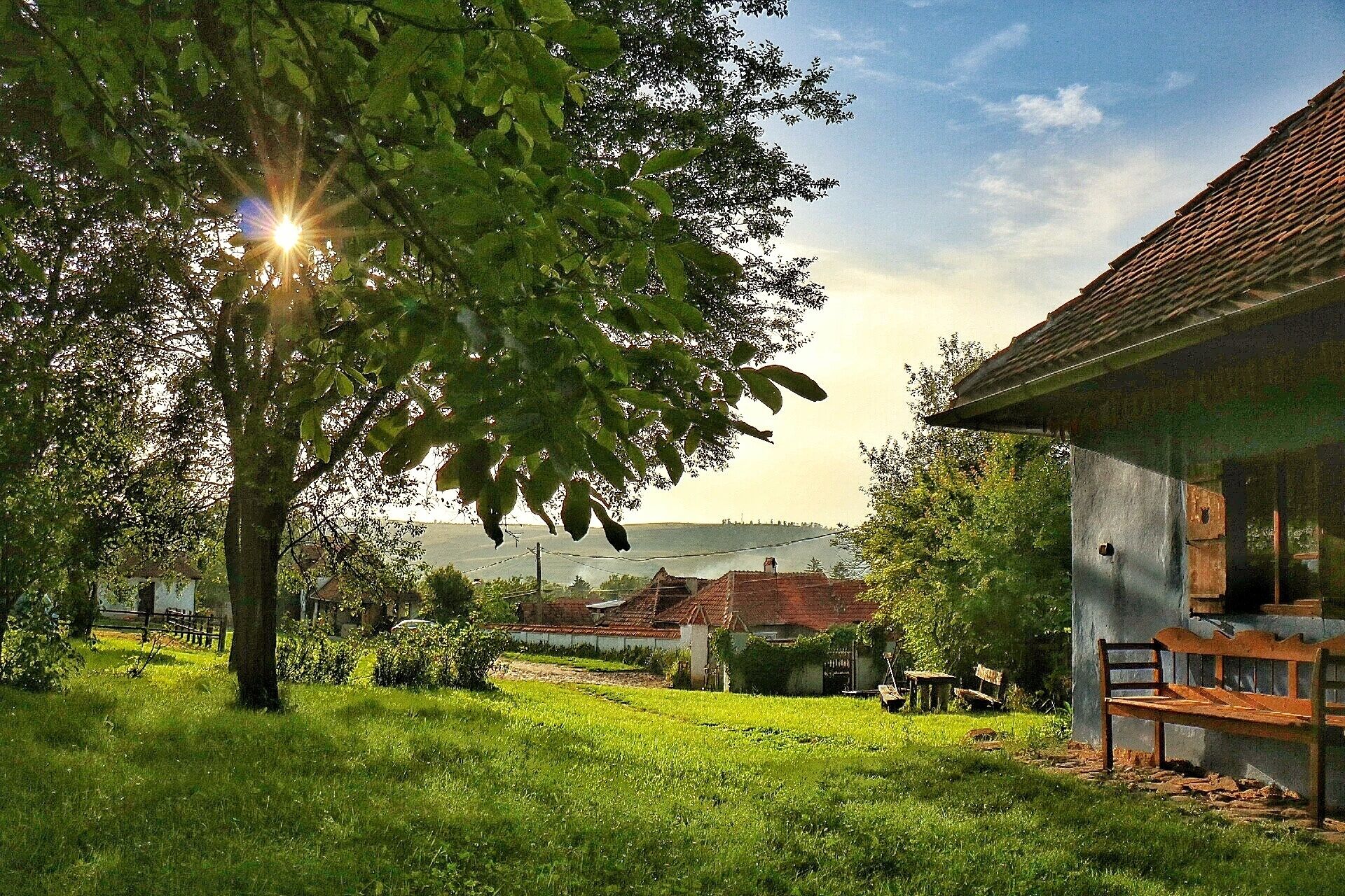 Un paisaje rural con una casa, un árbol y un campo cubierto de césped.
