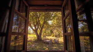 Ventana abierta con vista a un área boscosa y dos sillas de madera afuera.