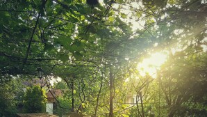 Un área de comedor al aire libre con una larga mesa de madera dispuesta para una comida, rodeada de exuberante vegetación y un farol colgante.