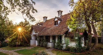 Count Kalnoky's Transylvanian Guesthouse
