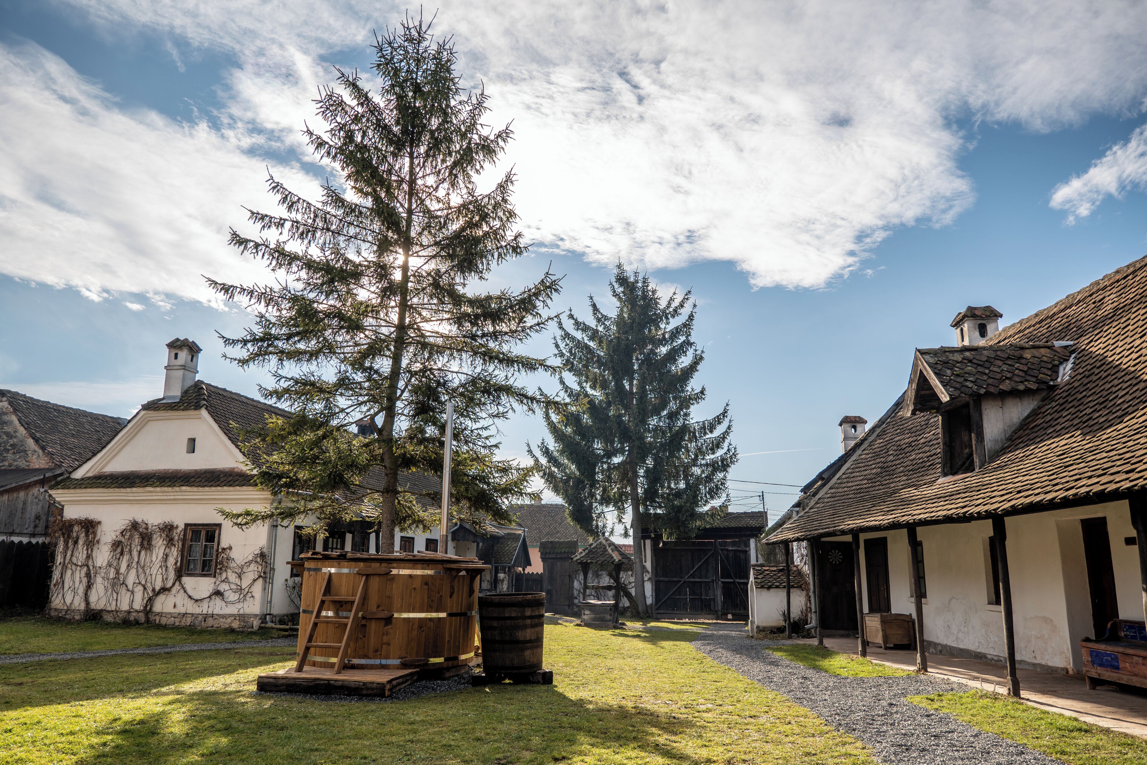 A rustic village setting with traditional buildings, a wooden ladder, and a large tree.