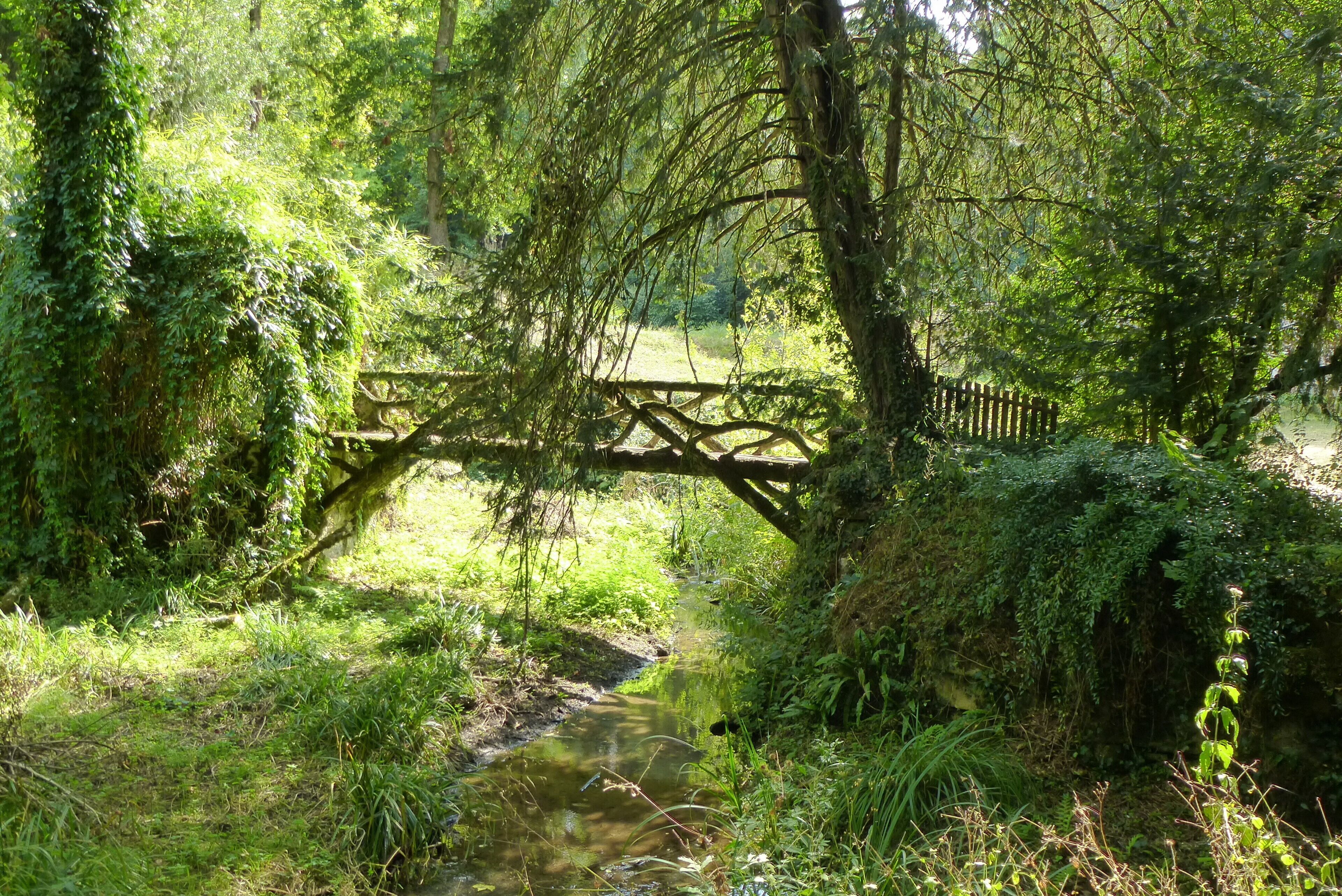 Un pont en bois rustique enjambe un petit ruisseau dans une forêt luxuriante et verdoyante.
