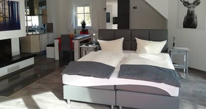 Apartment in the Koblenz city forest