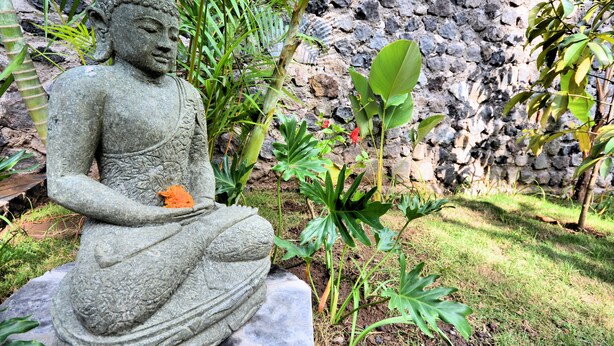 En sten Buddhastatue i en have med en stenvæg og forskellige planter.