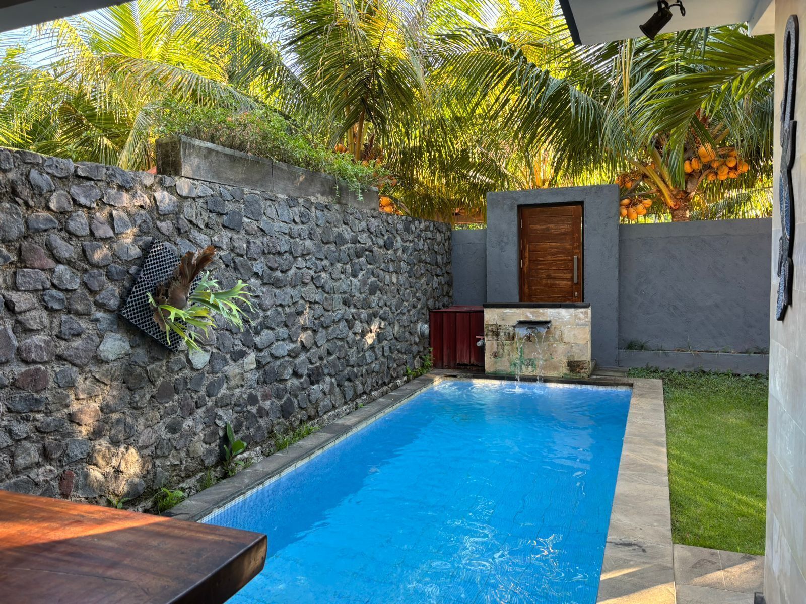 A swimming pool with a stone wall and a wooden door.