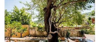 Villa Dimitra near the beautiful Rasa beach. Relaxing and comfortable stay.