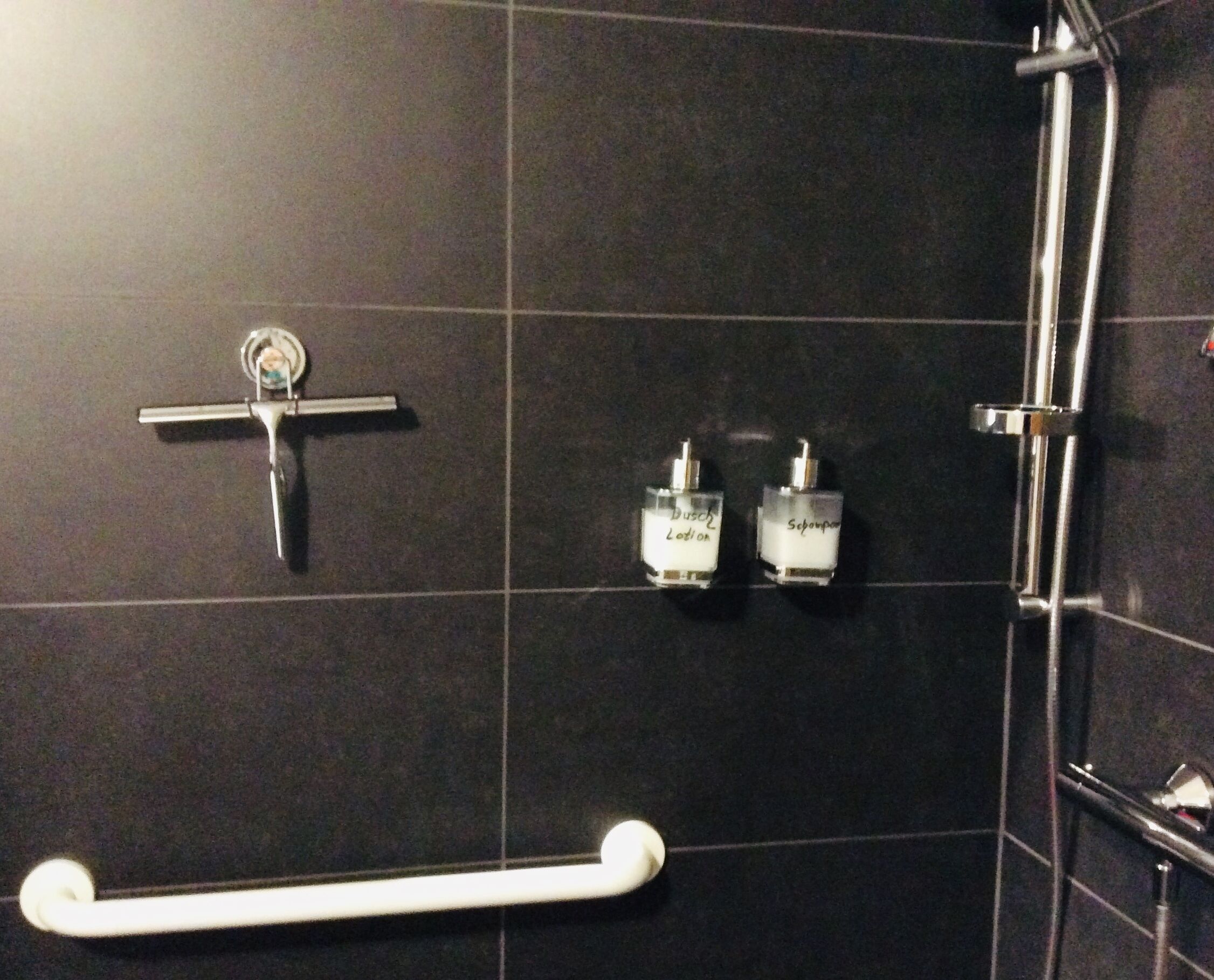 Ein Duschbereich mit weißer Haltestange, Duschbrausehandstück und zwei Flaschen Shampoo und Conditioner auf einem an der Wand montierten Regal.