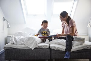 Soundproofing, iron/ironing board, free WiFi