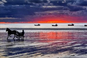 Beach nearby, beach bar - Gites des Isles (Barneville-Carteret)