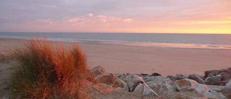 Beach nearby, beach bar