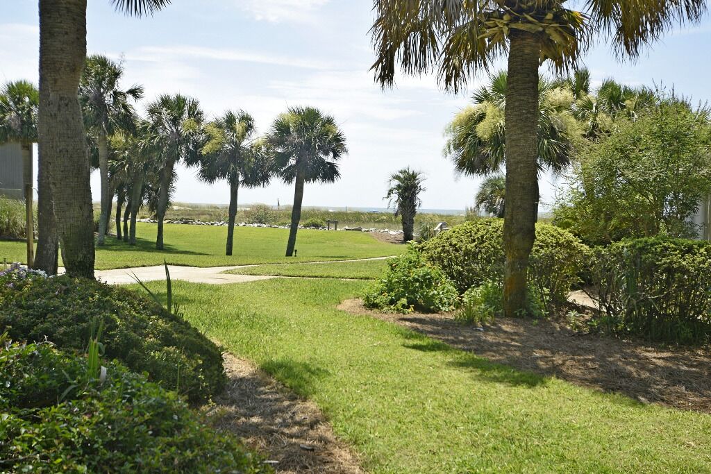 A landscaped garden with palm trees, a grassy area, and a pathway.