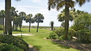 A landscaped garden with palm trees, a grassy area, and a pathway.