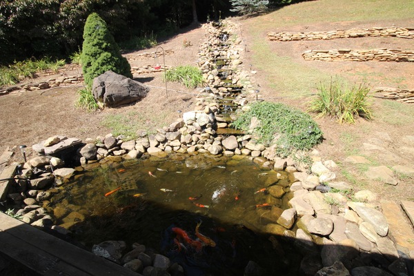 Àrea exterior de l'allotjament