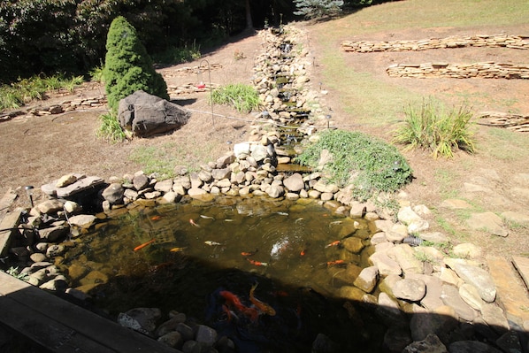 Stroll through a serene garden featuring a tranquil pond surrounded by lush greenery and a variety of plants.