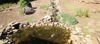 Cool Breezes & Starry Nights–Reserve A June Mtn Retreat at The Ponderosa