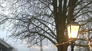 A foggy outdoor scene with a brick pathway, a tree, and a lamppost with lights.