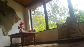 A room with a large animal head mounted on the wall, a wicker chair, a small table with a vase of flowers, and a window with a view of trees. - Ruwa River Herbal Clinic & All-Inclusive Oasis Spa Resort (Harare)