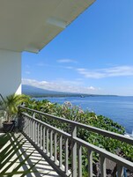 Vista desde la propiedad
