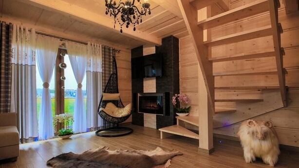 A cozy living room with a fireplace, a hanging chair, and a dog.