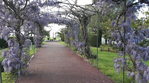 Parco della struttura