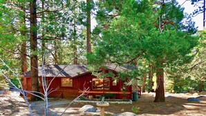 A rustic cabin surrounded by tall trees and a stone pathway. - Serenity Cabin 2 Bedroom Secluded Close to Trails! (Idyllwild)