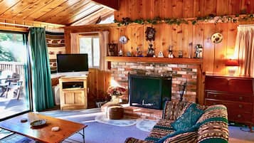 Una televisión, una chimenea, un reproductor de DVD, libros