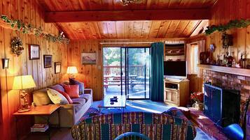 Fernseher, Kamin, DVD-Player, Bücher