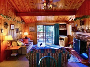 TV, fireplace, DVD player, books