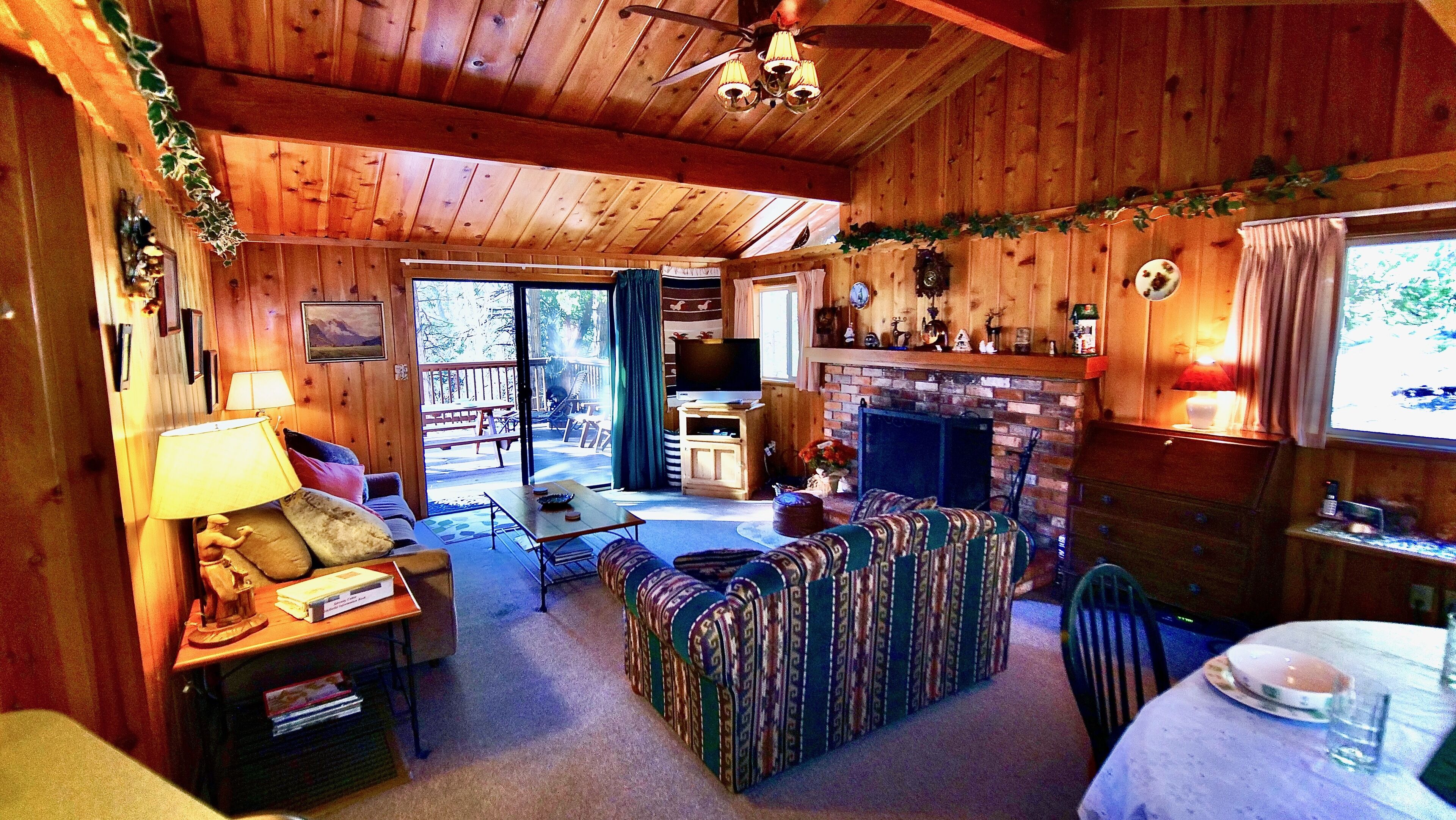 TV, fireplace, DVD player, books