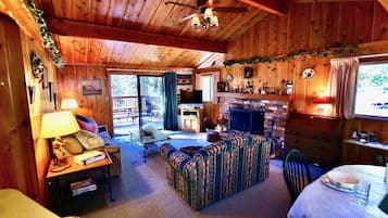 Fernseher, Kamin, DVD-Player, Bücher