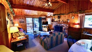 TV, fireplace, DVD player, books