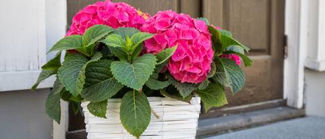 A white wicker planter with a heart-shaped decoration, filled with vibrant pink hydrangeas, placed on a sidewalk in front of a building with wooden doors.