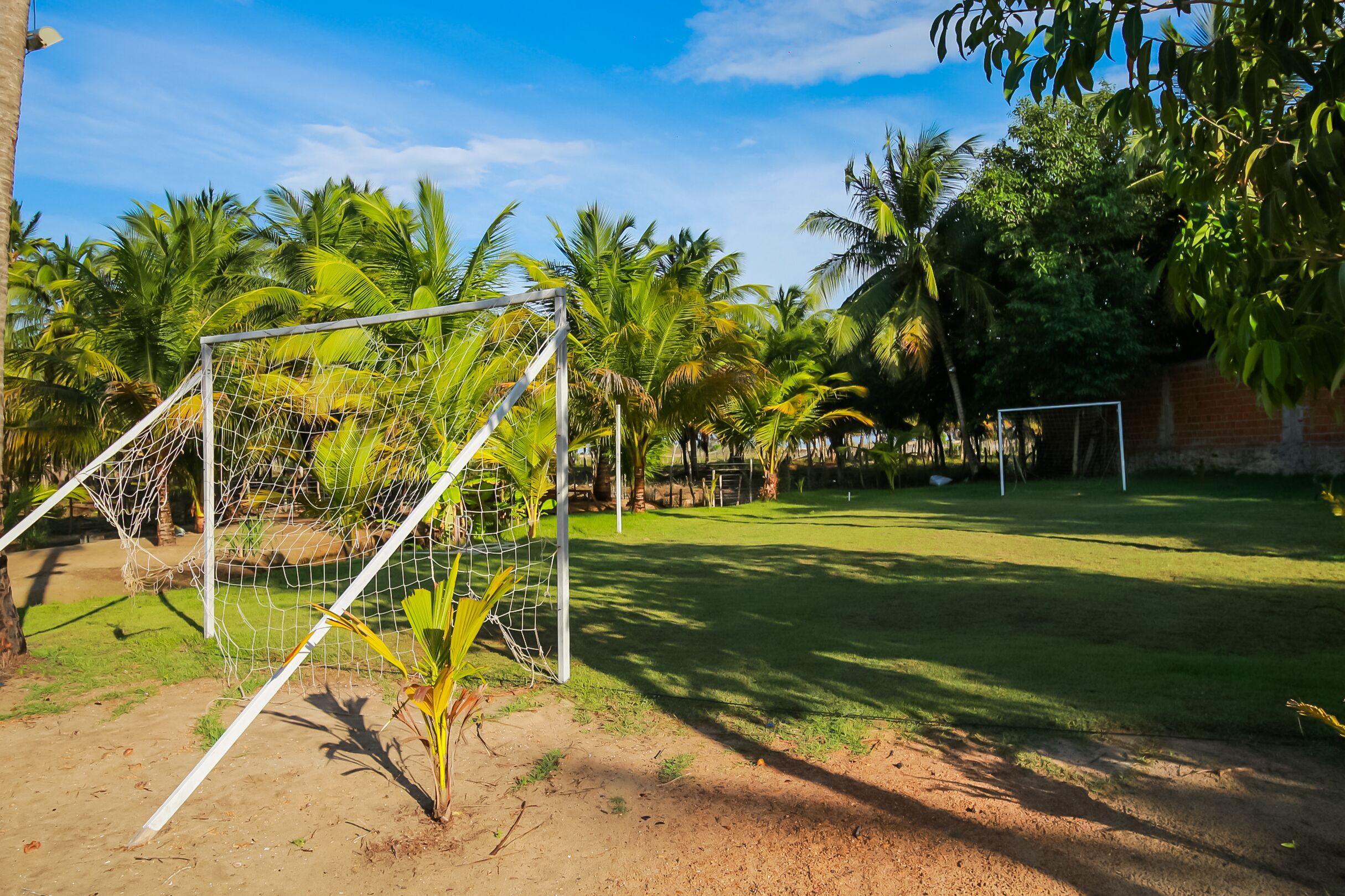 Un terrain de football avec des poteaux de but et un filet, entouré de palmiers et d’un mur de briques.