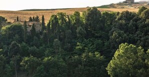 A rural landscape with a stone building surrounded by dense trees and a field in the background.