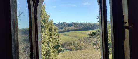 Comfort Apartment, 2 Bedrooms | Balcony view