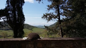 A stone wall with a large boulder in the foreground, surrounded by trees and a view of rolling hills in the distance. - Agriturismo Alle Rose (Volterra)