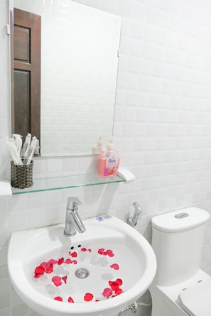 A bathroom with a white sink, a glass shelf with toiletries, and a white toilet.