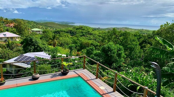 A swimming pool with a wooden deck, surrounded by lush greenery and a view of the ocean.