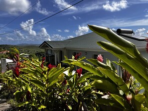 Property grounds - La Martinique, des Plages Mais pas Que (LE FRANCOIS)
