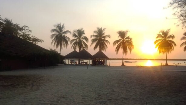 A beach scene with palm trees and a sunset.