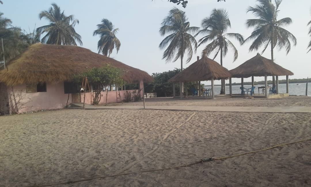 Une plage avec des huttes aux toits de chaume et des palmiers.