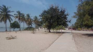 A sandy beach with palm trees and a large tree in the center.