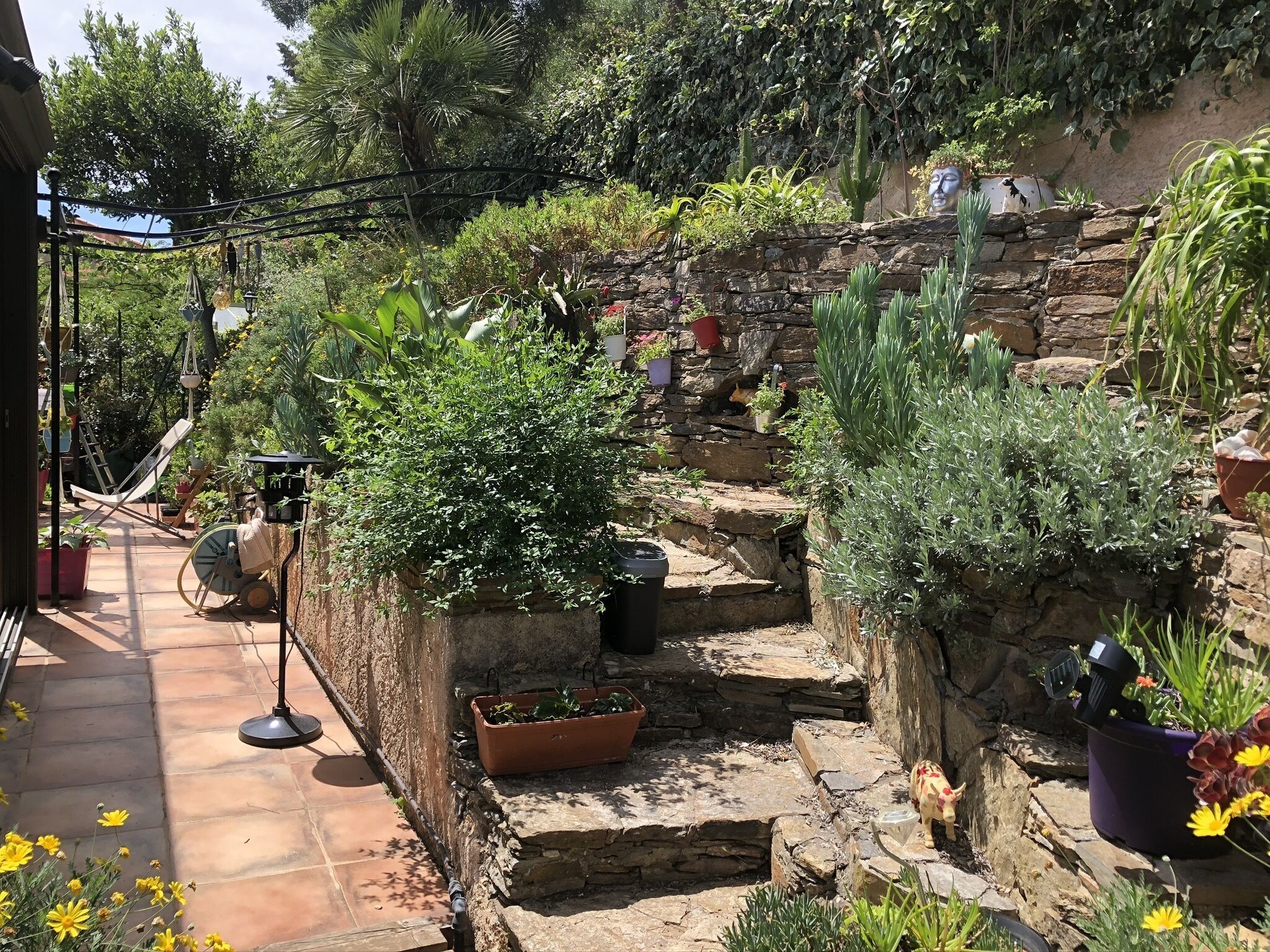 A garden with stone steps, potted plants, and a hammock.