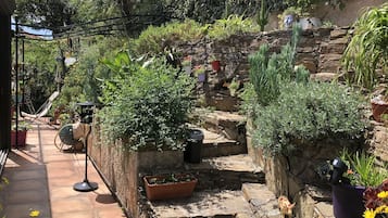 A garden with stone steps, potted plants, and a hammock.