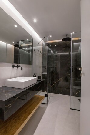 Hair dryer, towels, shampoo, toilet paper
