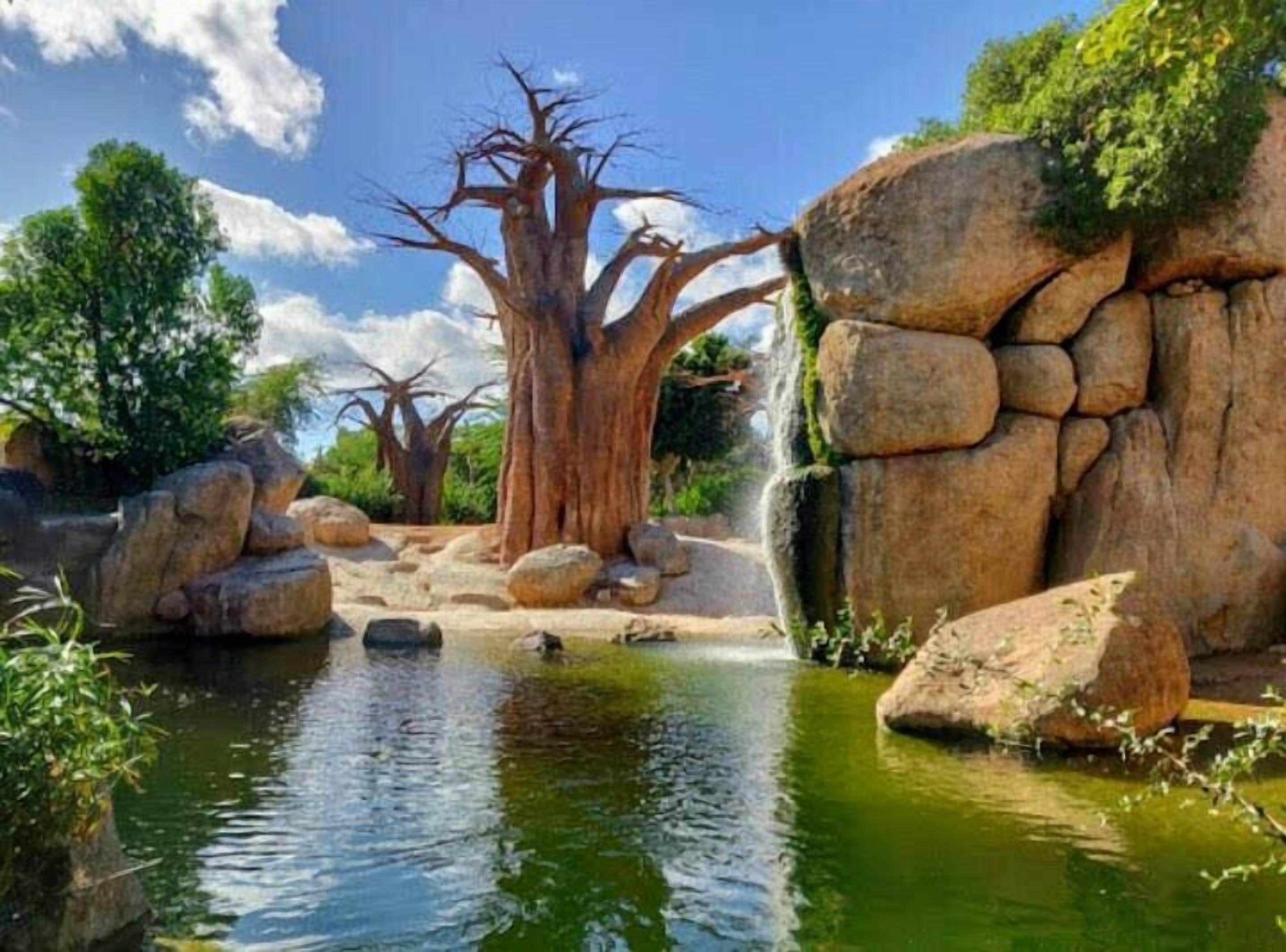 Photo - SUNDOS Feria Valencia